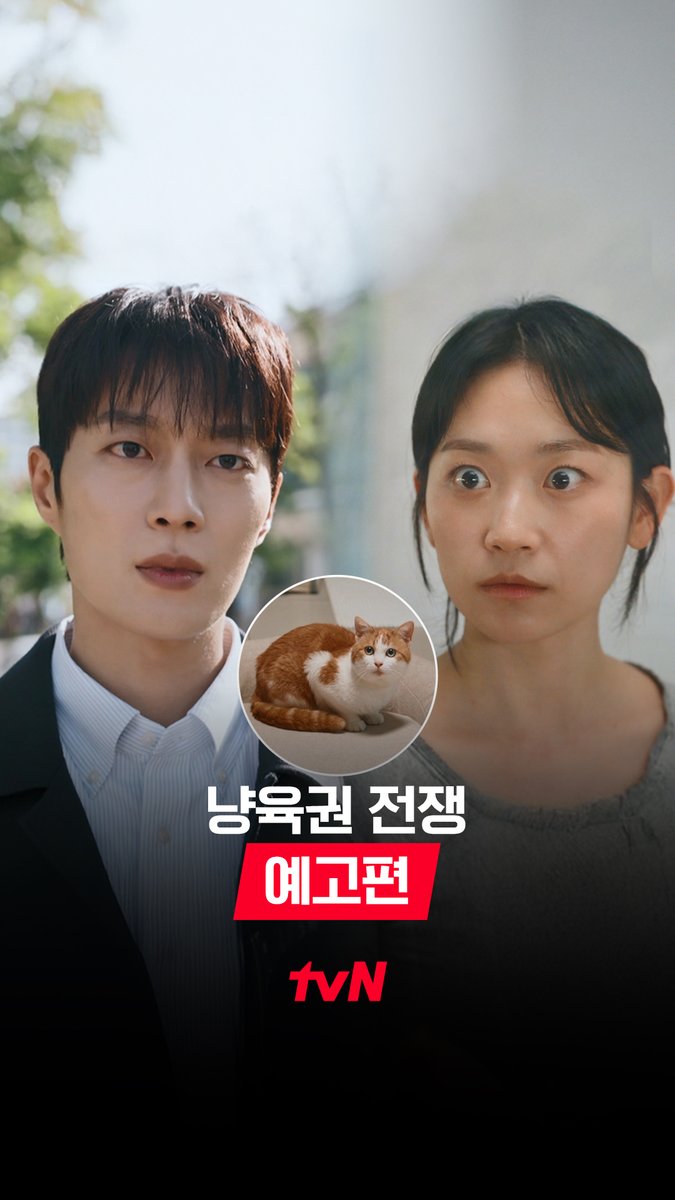 ''노리'를 누가 더 잘 키울 수 있을까? 유치하고 사랑스러운 이 전쟁의 승자는? 이혼을 앞둔 부부가 고양이 양육권을 두고 아옹다옹 싸우는 이야기 tvN <O'PENing 2025 - 냥육권 전쟁> 8/17 [일] 밤 9:20 방송 | tvN