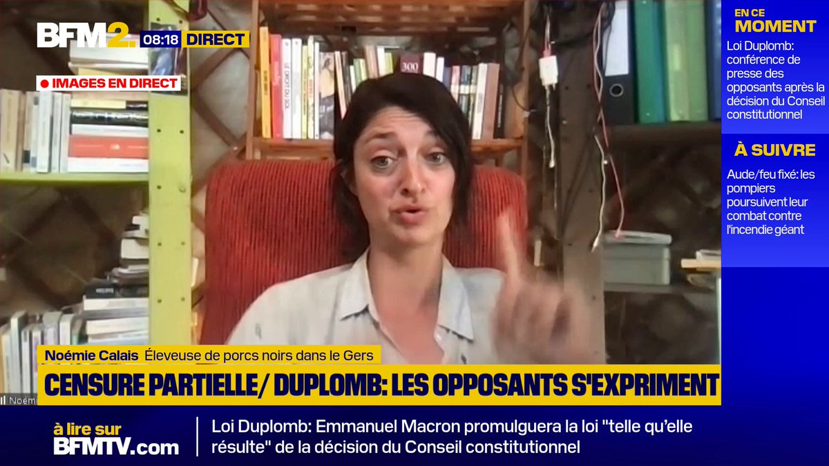 💬"Ils sont en train d'écrire les règles du jeu, ils sont en train de faire mourir l'élevage paysan" affirme Noémie Calais, éleveuse de porcs noirs dans le Gers après la censure partielle du Conseil constitutionnel sur la loi Duplomb #BFM2