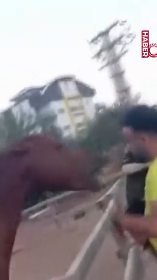 Antalya’da sevmek için yanına gittiği atın saldırısına uğrayan 3 yaşındaki çocuk hafif yaralandı.