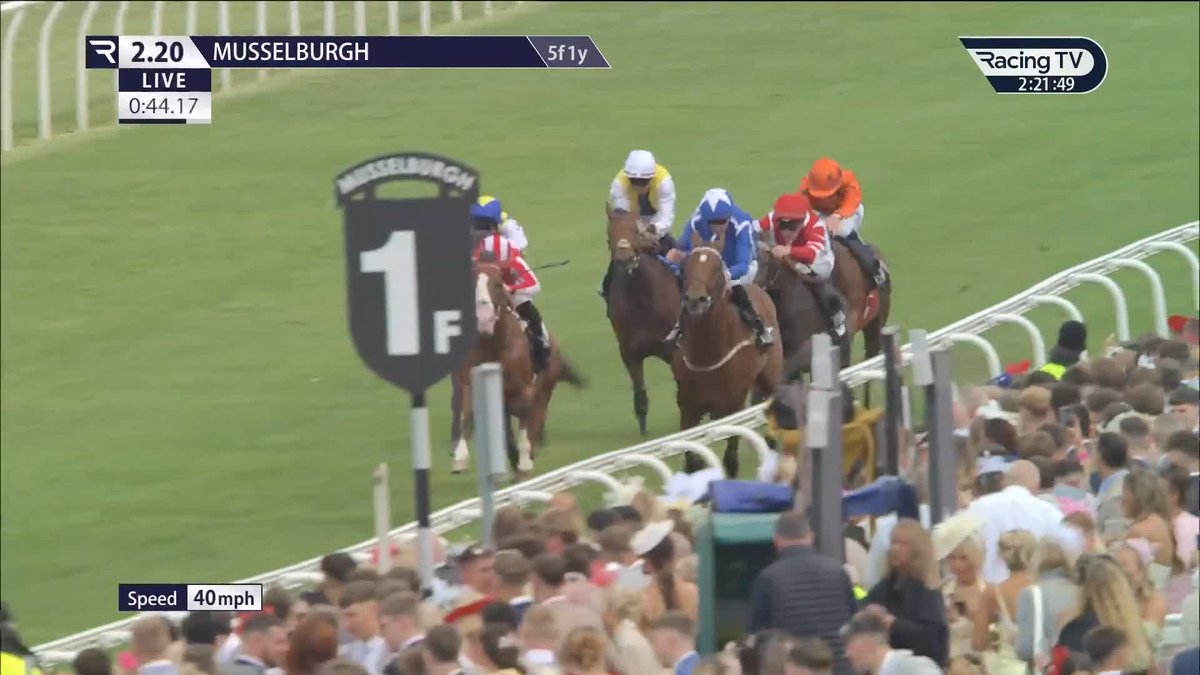 The long journey north already worthwhile for Hollie Doyle ✈️ Mission Classified edges home in a bunch finish to the novice event to make the first of four rides Musselburgh Racecourse for Hollie a winning one. Archie Watson Racing 🟥⬜️