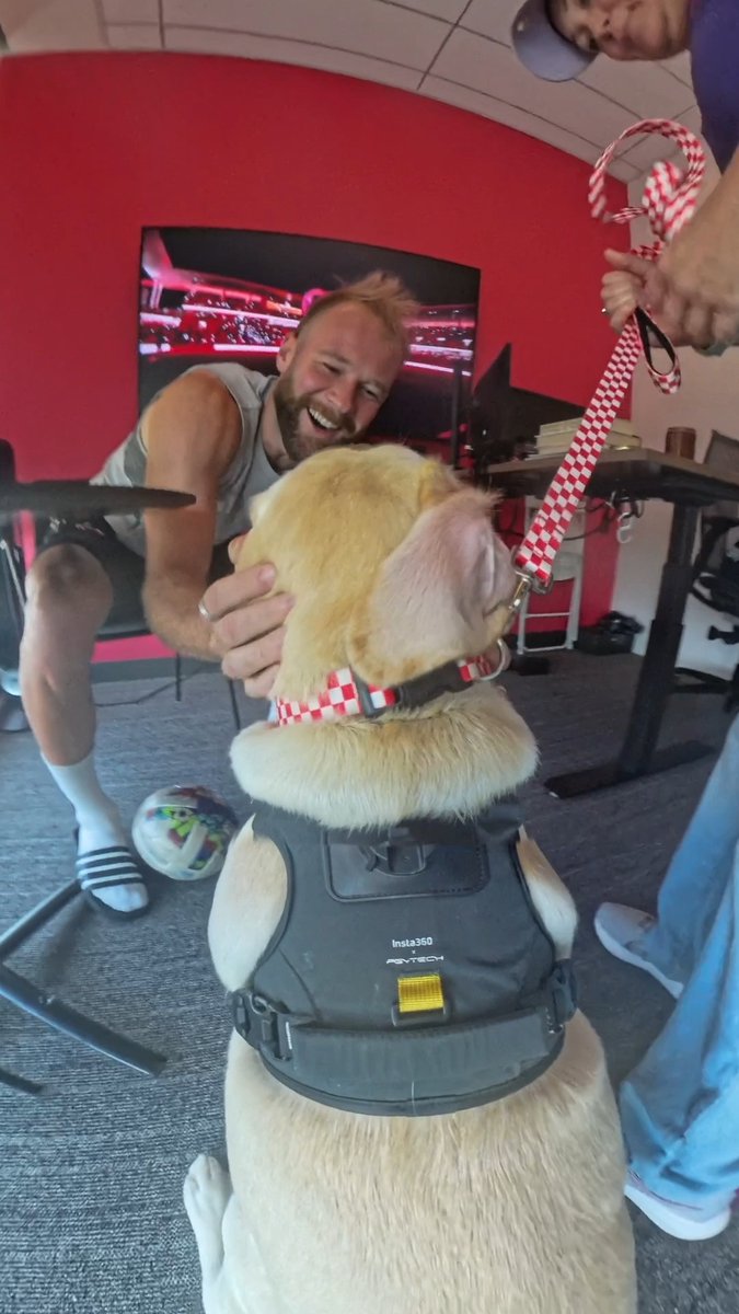 Meet Petey 😍🐾 St Louis CITY SC's new Team Pet.