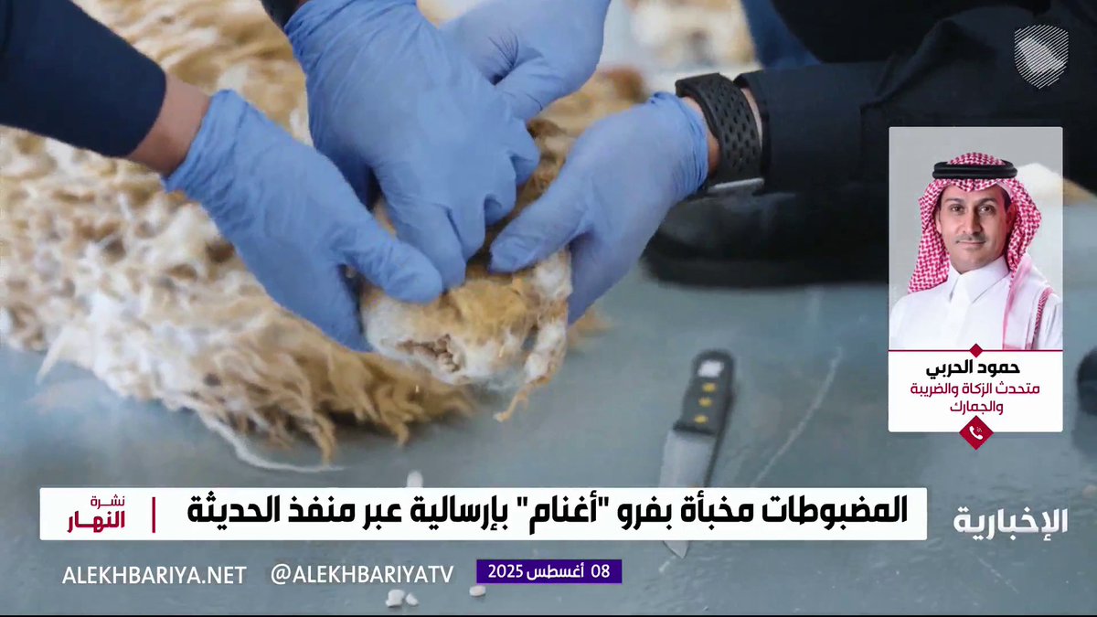 🔴 شاهد كيف يتم تهريب المخدرات!! تم إحباط تهريب 406,395 حبة "كبتاغون" مخبأة بإرسالية فرو "أغنام" عبر منفذ الحديثة والقبض على مستقبليها بالتعاون مع مكافحة المخدرات..