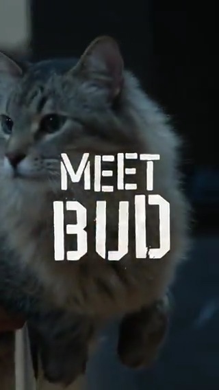 It’s Bud’s world and we’re just living in it. Celebrate #InternationalCatDay get tickets to see Tonic the cat in #CaughtStealingMovie – in theatres August 29. Get tickets now.