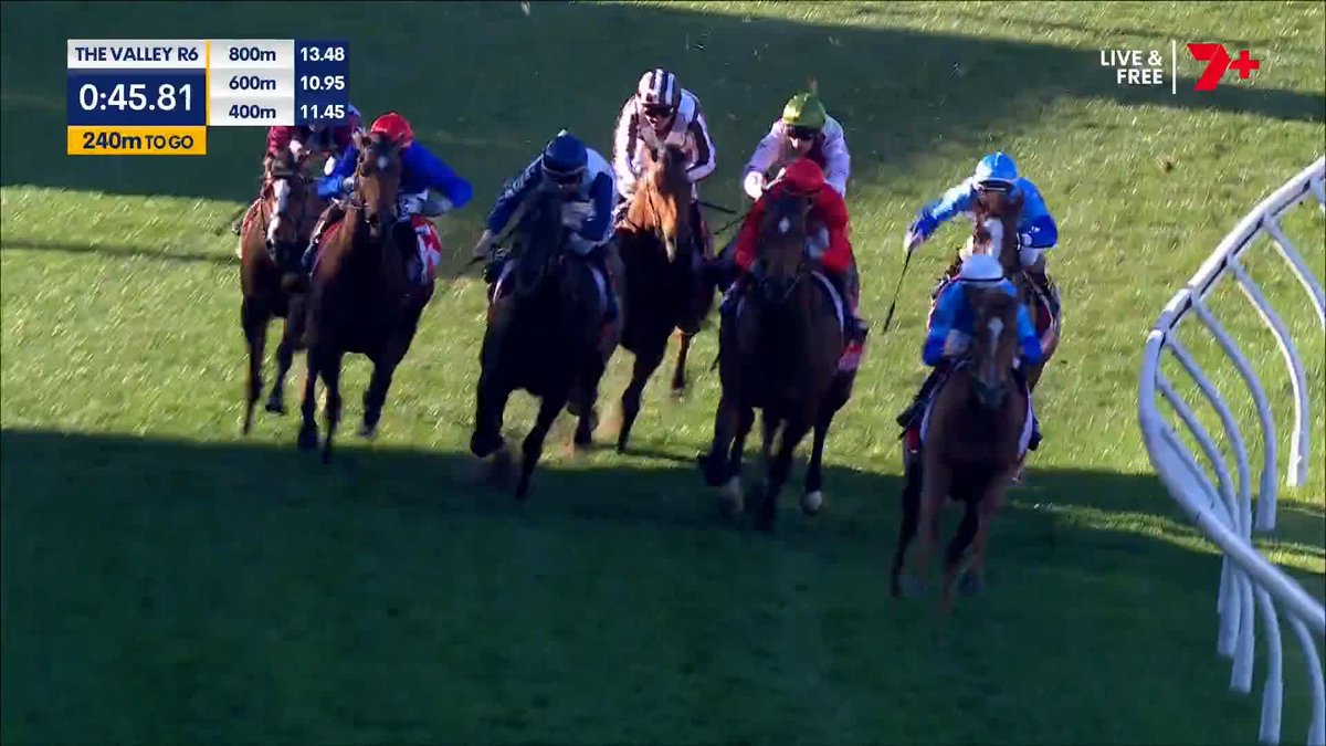 She's well above average! Esha justifies the short quote with a dominant display at The Valley, she's two for two and on the up ⭐ Damian Lane Shane Nichols Racing