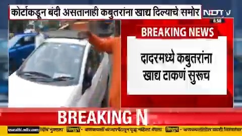 Dadar kabutar khana news | गाडीवर धान्य ठेवून दादरमधील कबुतरखाना भागात कबुतरांना खाद्य देणं सुरूच! #dadarkabutarkhana #kabutarkhana #BMC