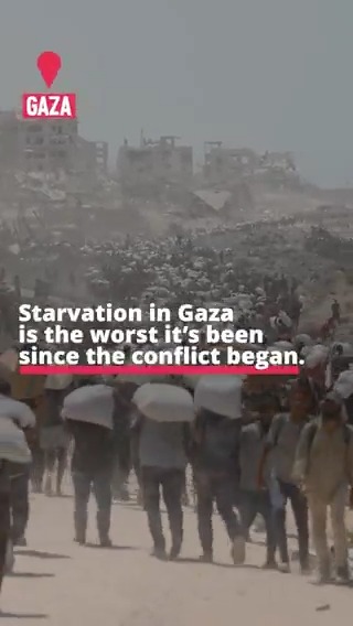 We can't let #Gaza starve. We must reach those most at risk of starvation - safely, consistently, and with dignity. 🔴At least 100 trucks every day 🔴Faster approvals & safer routes inside Gaza 🔴Bakeries & community kitchens running again A ceasefire is the only way forward.
