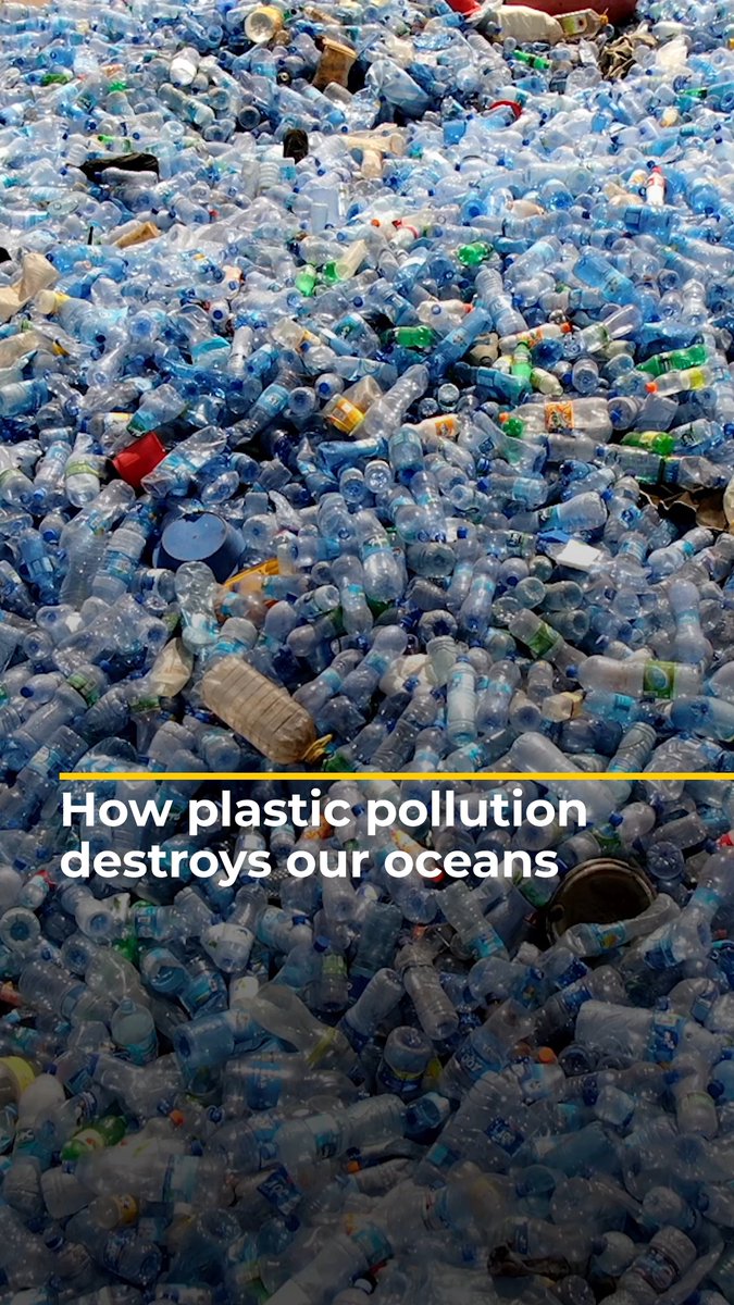 Negotiations are under way at the UN to reach a legally-binding treaty to end plastic pollution. Here’s why it’s such an urgent problem.