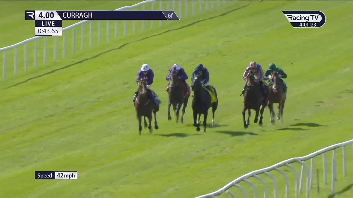 Oh. My. Goodness .... ๐ฑ 1-4 favourite True Love is outgunned by ๐๐จ๐ฐ๐๐ซ ๐๐ฅ๐ฎ๐ in the Keeneland Phoenix Stakes The Curragh Racecourse What a day for Amo Racing, Adrian Murray and David Egan ๐ฃ๐ฃ