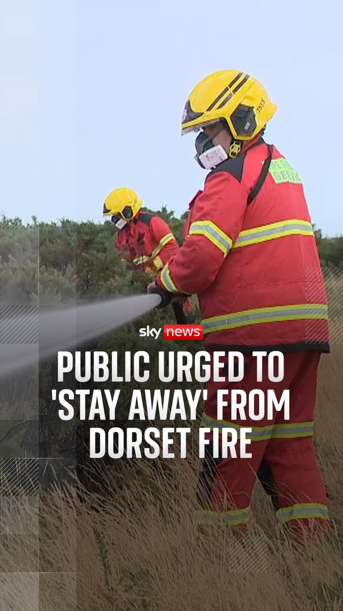A major incident has been declared as about 100 firefighters tackle a blaze at Holt Heath near Wimborne in Dorset.