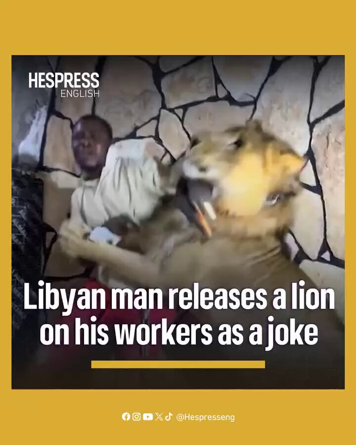 A Libyan man releases a lion on his workers as a joke