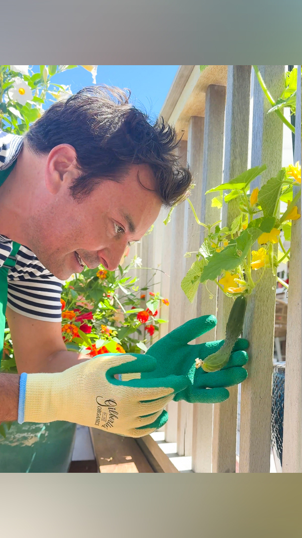 Next week, the Celebrity tomato makes its #FallonTonight debut! My cucumber, however, might need a little bit more time...