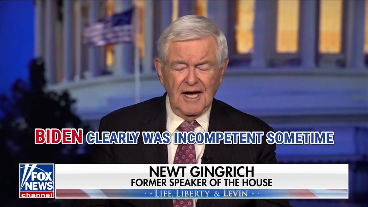 Former first lady Jill Biden was "in effect" the acting president of the United States, Newt Gingrich says.