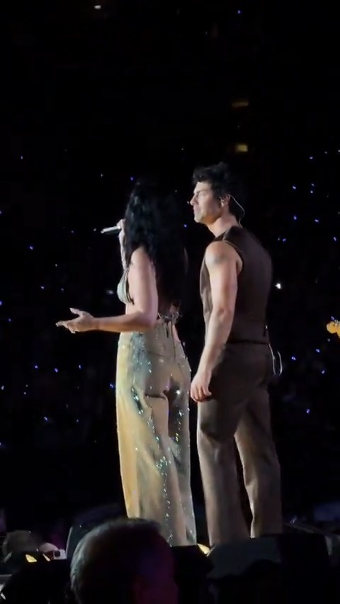 A qualidade desse vídeo tão perfeita que podemos todos nos transportar e fingir que presenciamos Demi Lovato e Joe Jonas cantando "Wouldn't Change a Thing" pela primeira vez em mais de 10 anos. 🤍✨