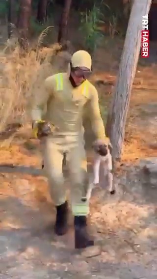Çanakkale’deki yangında ekipler, alevlerin arasında kalan bir köpeği ve kaplumbağayı böyle kurtardı.