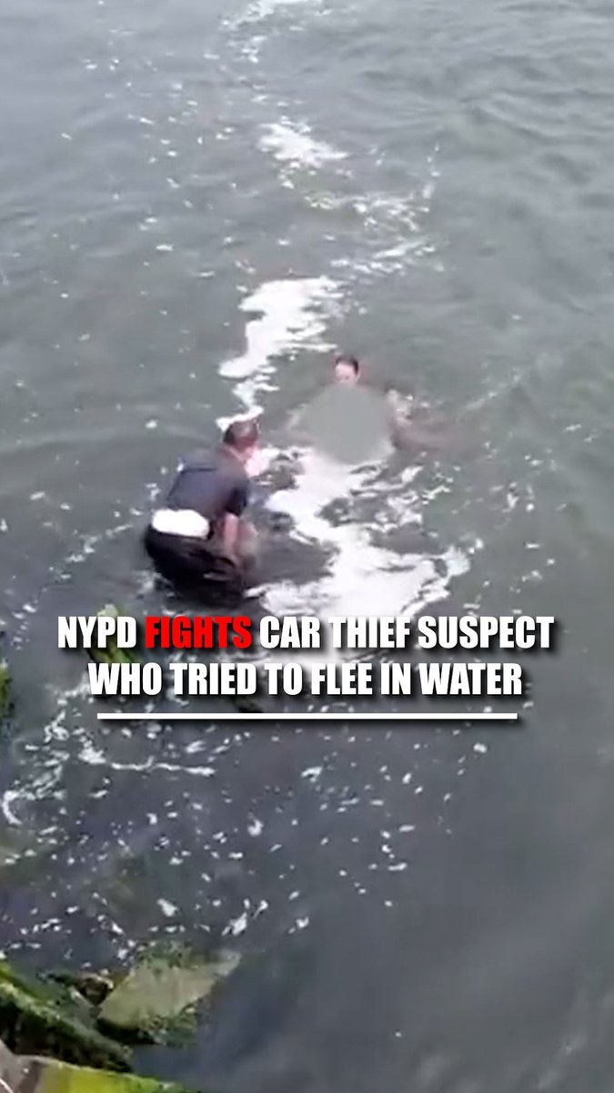 NYPD officer dives in after suspect who fled into the water following a reported car theft.