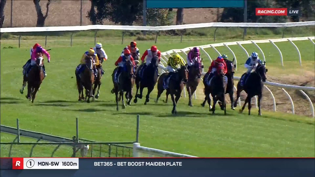 Bairnsdale Race 1 | Kaazi Zaaki's half-brother produces the goods at only his second career start 😍 📺 Ch. 78/68, Foxtel 529, Kayo or via our app REPLAYS: