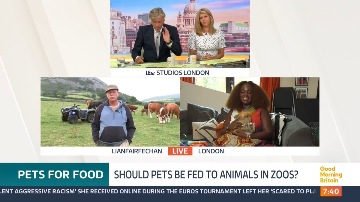 A zoo in Denmark is asking people for pet donations to feed predators, including lions and tigers. The public can give away live rabbits and guinea pigs, as well as horses, with owners able to benefit from a potential tax break. But is it OK to donate pets to feed zoo animals?
