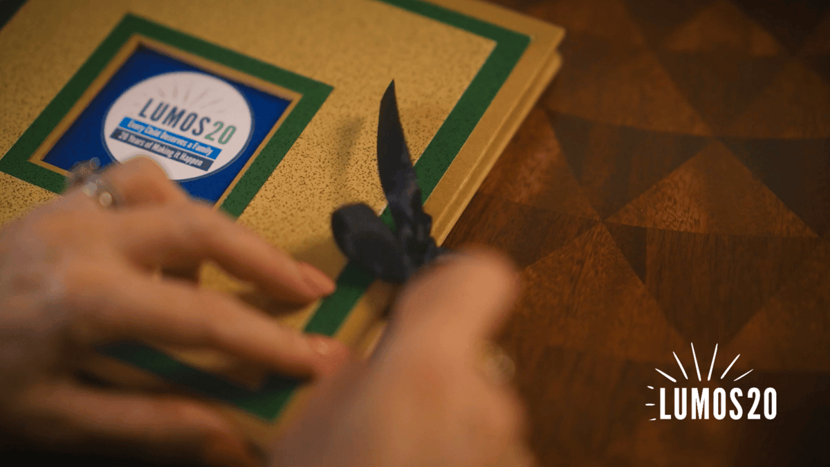20 years ago, Lumos was founded on a simple yet critical principle: that all children have a right to grow up in safe and loving families rather than in institutions. Today, we celebrate this milestone anniversary year with the launch of a special mini film series featuring our Founder & Life President, J.K. Rowling and expert colleagues from around the globe.