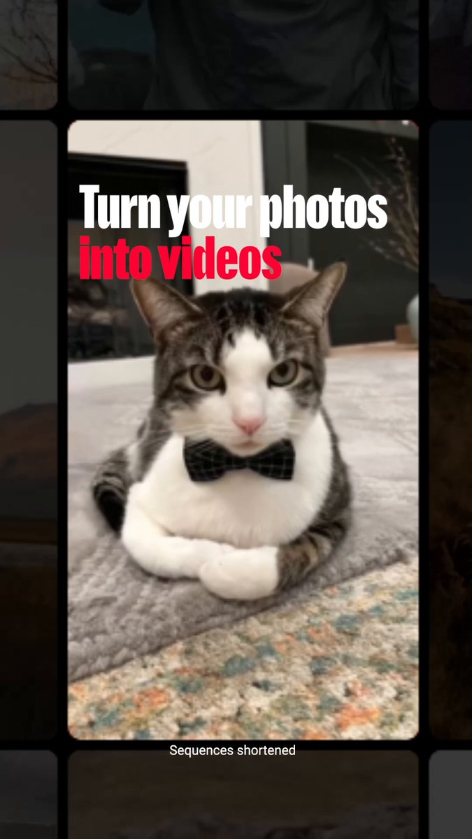 It's playtime for your camera roll 🤯 use our new Shorts feature Photo to video to bring your pics to life