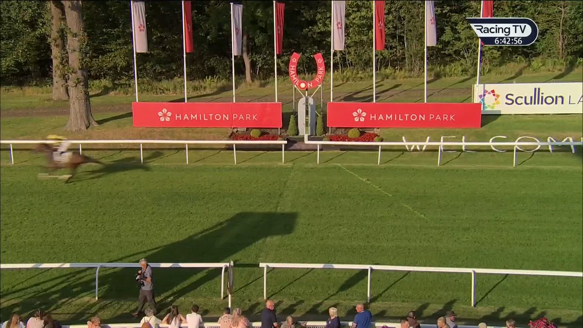✅ 425,000gns buy Golden Horse (Sea The Stars) opens his account at the second time of asking at Hamilton Park