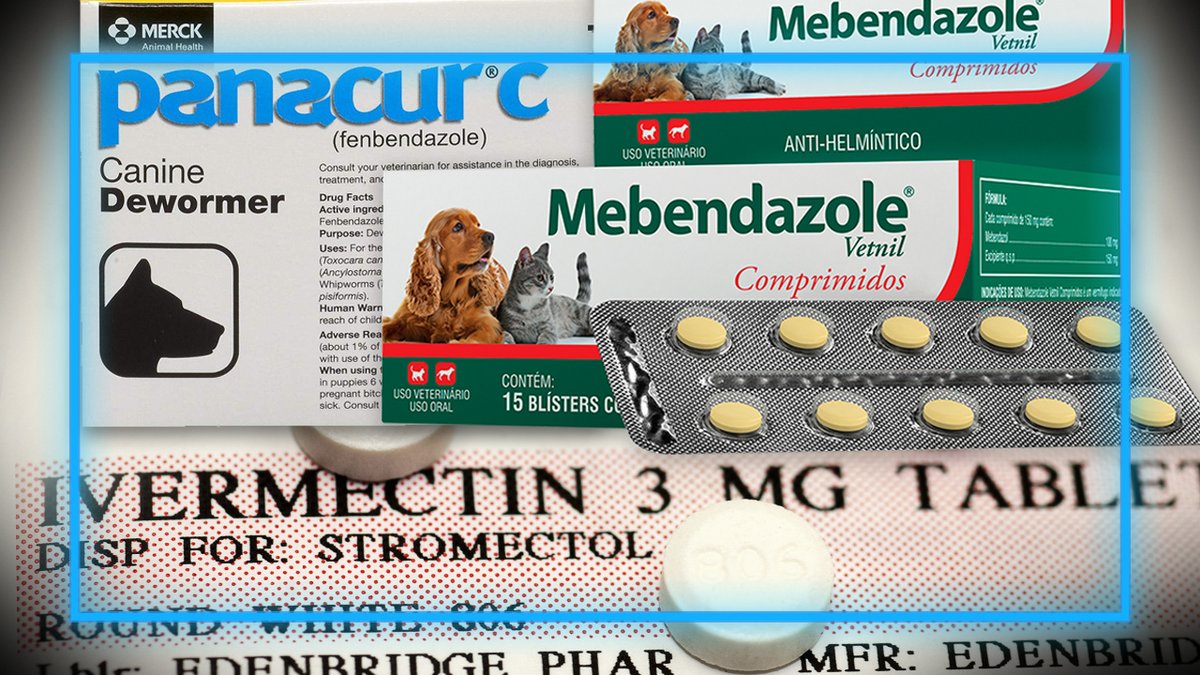 Renowned Oncologist / Cancer Doctor William Makis Exposes The Truth About The Powerful & Inexpensive Anti-Cancer Drugs Ivermectin, Fenbendazole, & Mebendazole MakisMD