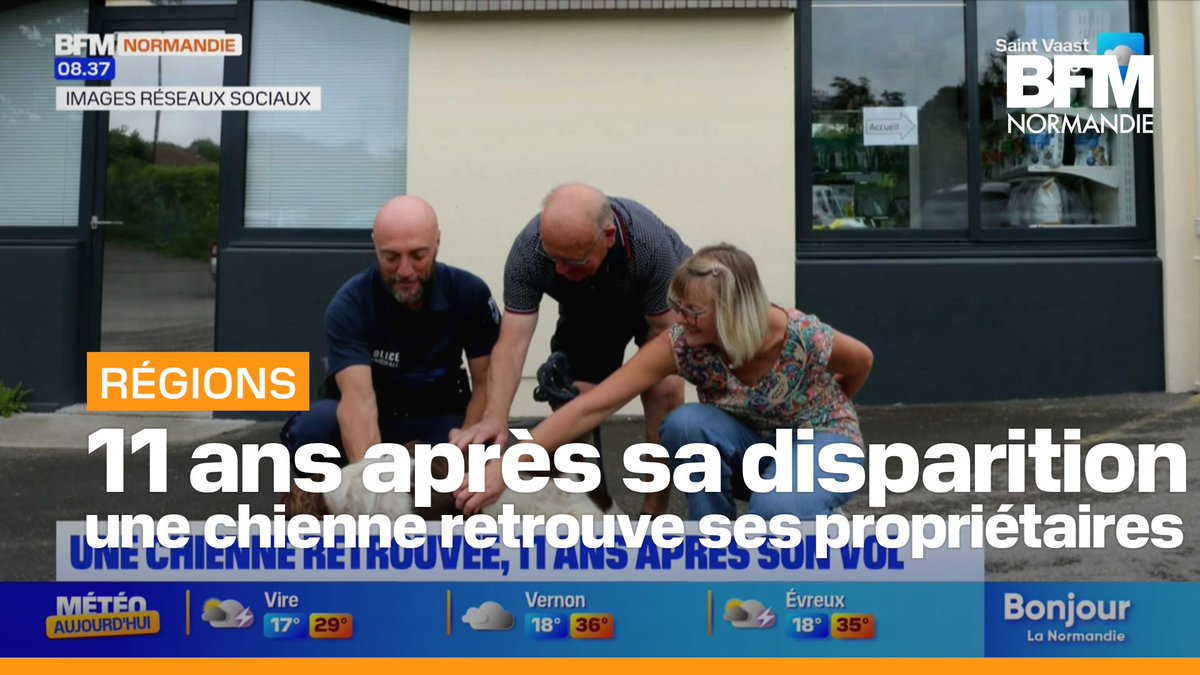 🚨 Retrouvée 11 ans après sa disparition ! Une chienne volée en 2012 dans l’Yonne identifiée grâce à sa puce… à 500 km, dans la Manche. Elle a enfin retrouvé son maître, ému : "Un véritable miracle." Une belle histoire qui rappelle l'importance de l'identification animale. 🐾