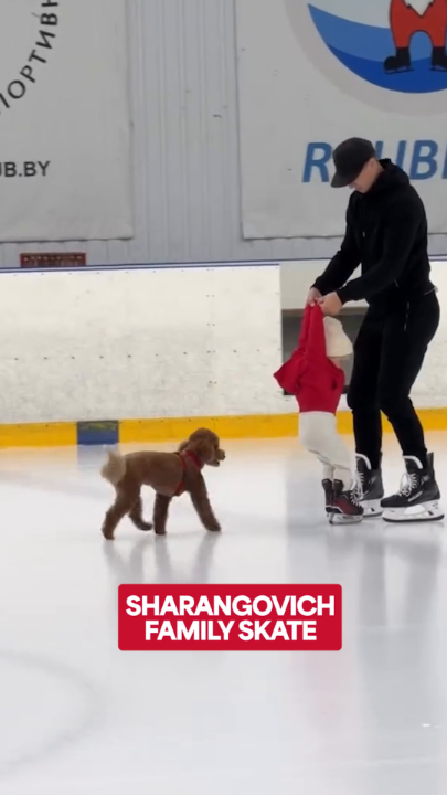 Skating lessons for humans and dogs alike... 😆 (🎥: IG/sharangovich17)