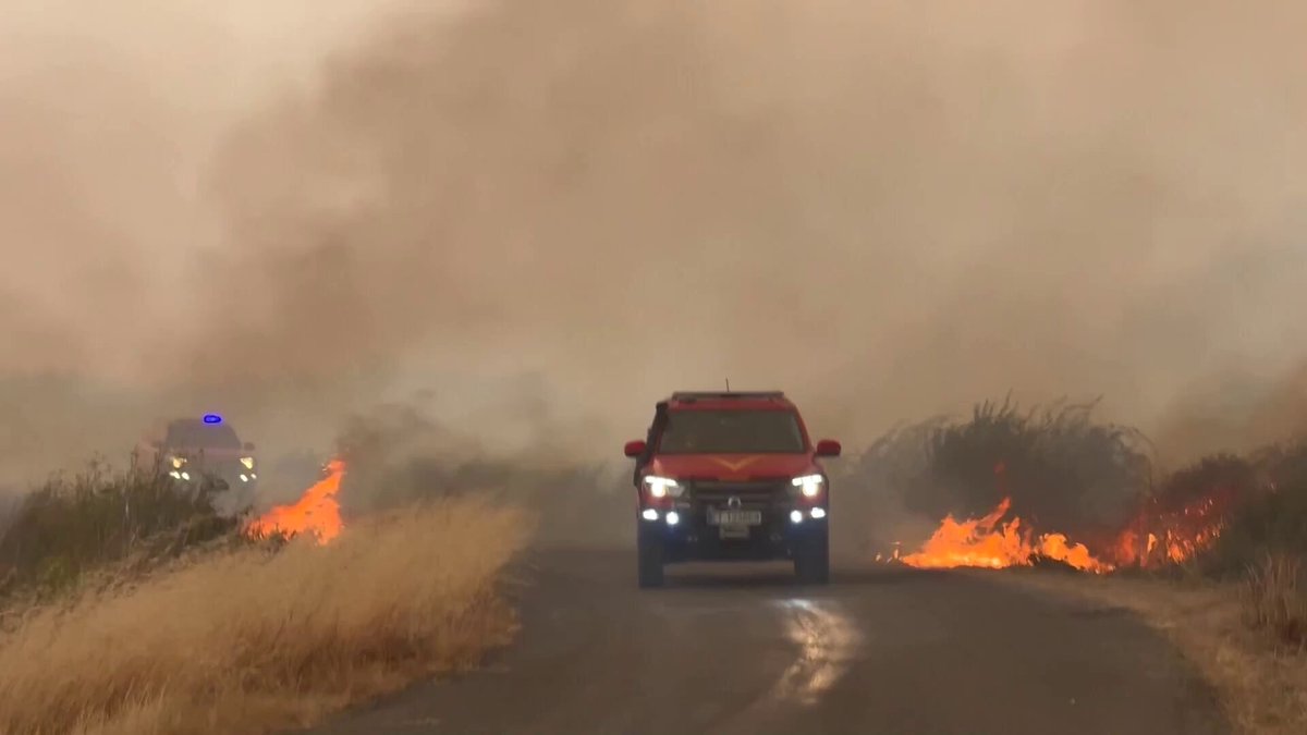 Spanish firefighters battled to contain wildfires across the Zamora region, as strong winds and scorching heat fueled blazes that forced the evacuation of more than 5,000 people in the Castile and Leon region