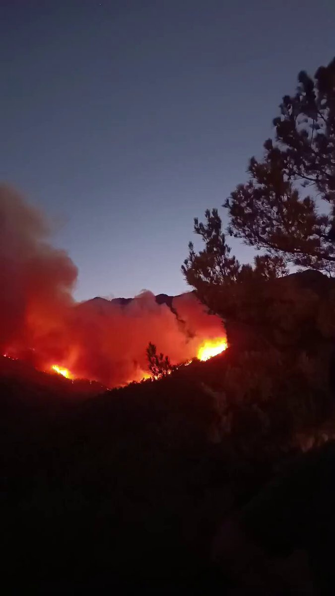 Hatay'ın Hassa ilçesinde orman yangını çıktı.