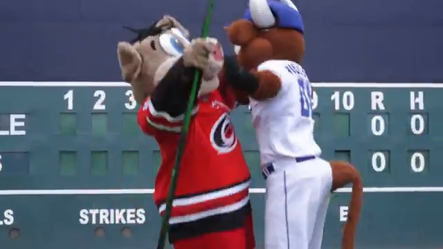 SO ready to see Wool E. Bull & Stormy back together again. Hockey Night with the Carolina Hurricanes is back on Friday, September 12, with Bulls players & coaches wearing special Hockey Night Stadium Series Edition jerseys! Learn more: