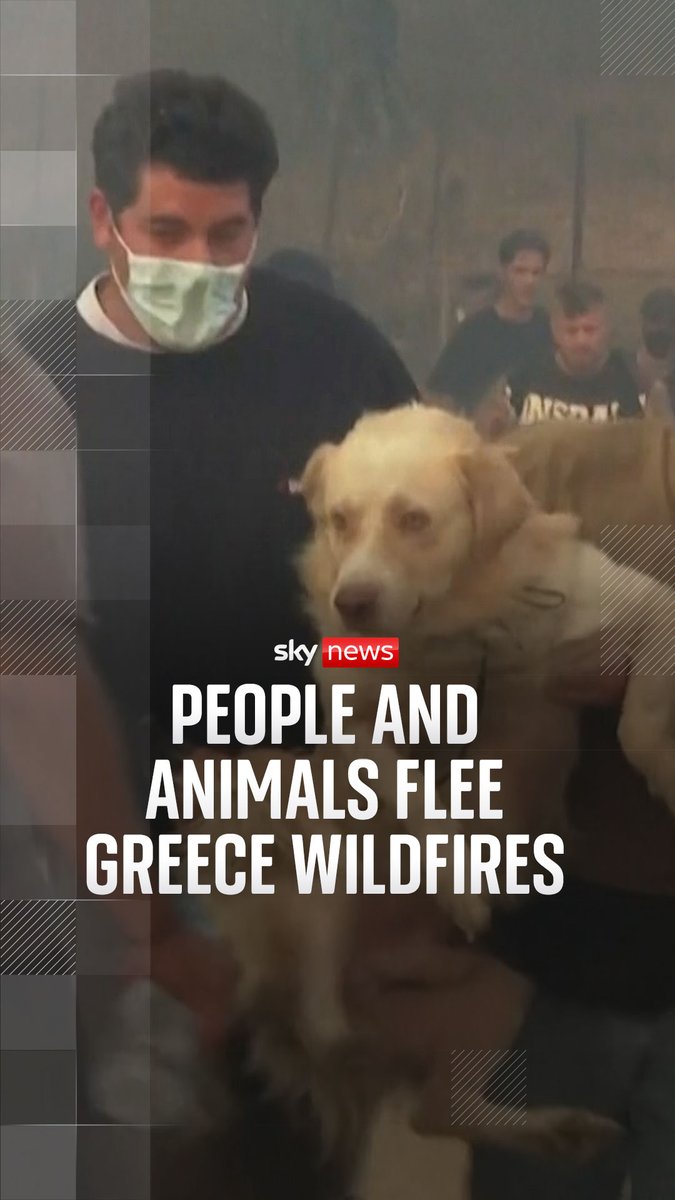 Extreme weather has contributed to the spread of raging wildfires in Greece, and thousands of residents, some accompanied by their pets, have been forced to evacuate their homes. Wildfires latest ➡️