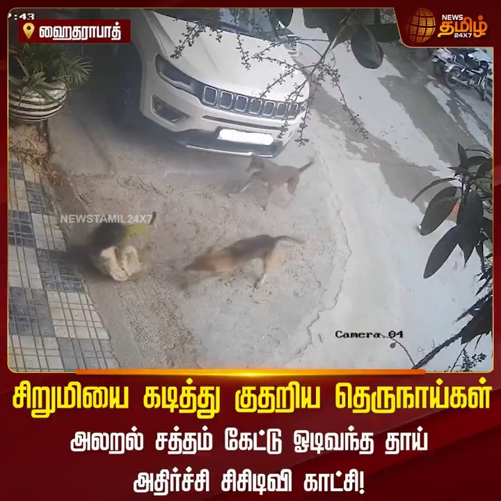 These are stray digs attack videos from my TL, that I downloaded/bookmarked over the years.. If any dog lover says, Stray dogs are friendly, ask them to go through this thread to understand the reality, Viewer discretion strongly advised