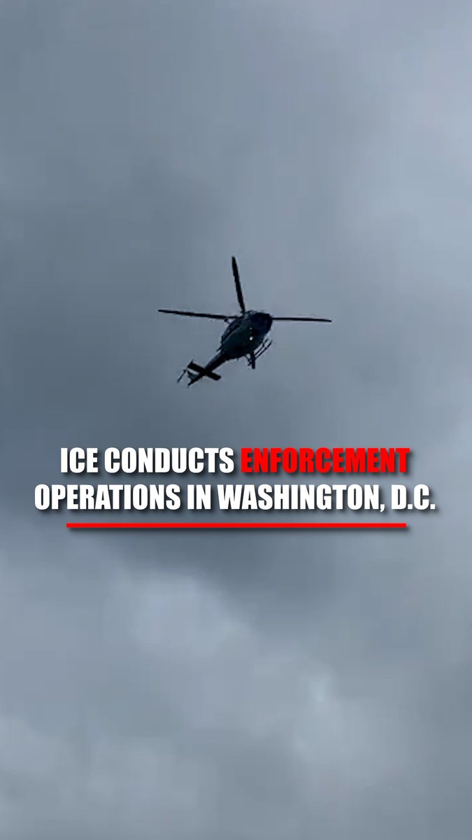 ICE carries out enforcement operations on Washington, D.C.’s National Mall.