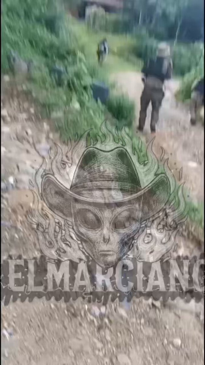 Gente del Mayito flaco matando a chapitos en la sierra de concordia #news #Noticia #Sinaloa #Mazatlán #nayarit #Jalisco #CJNG #chapiza #MAYITOFLACO #ivanarchivaldo #Mexico #concordia #sonora #Chiapas #Narcos #enfrentamiento #sedena #usa #gabito #CDMX #zacatecas #Tijuana