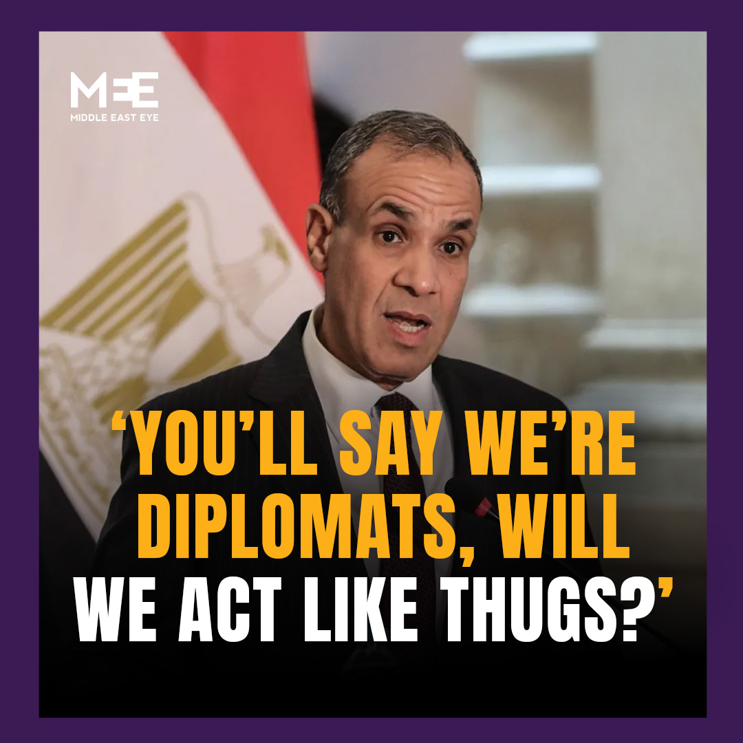 In a leaked phone call, Egyptian Foreign Minister Badr Abdelatty was heard instructing security guards at Egyptian embassies around Europe to grab protesters, drag them inside and restrain them, adding that it is “unacceptable” that Egypt is made to appear as “a violated state".