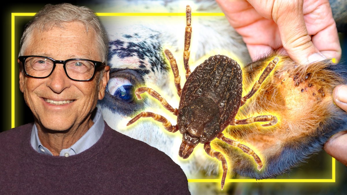 BREAKING: US Scientists- Funded By Bill Gates- Study Releasing Ticks Engineered To Deliver A “Vaccine” That Gives Humans A Violent Allergy To Eating Beef! Alex Jones Reveals How This Plan Has Been Actively Unfolding For Decades As Part Of A Globalist Social Engineering Operation Meant To Take Complete Control Of The Food Supply