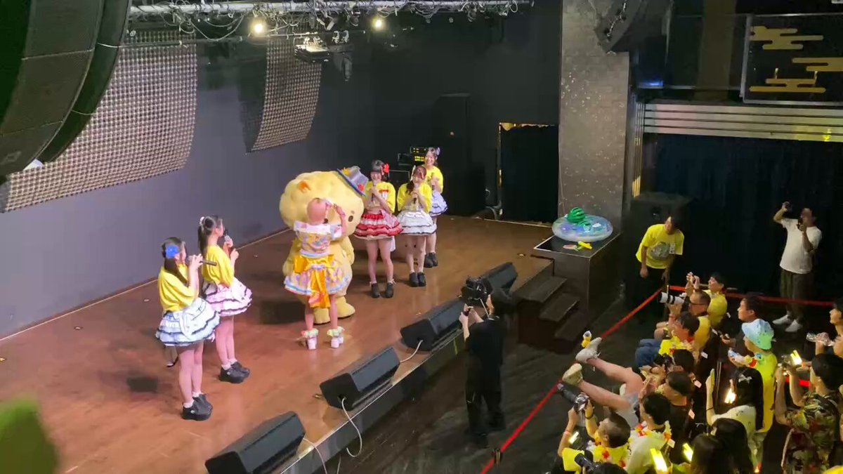 #常夏サク祭り2025 ほや丸ちゃん毛並み整えシーン♡ 🧒🏼「ほや丸ちゃんメロンパンに見えるけどメロンパンじゃないもんね？」 ꒰ᐢ´• ·̭ •`ᐢ꒱「うんうん(頭見せてくれる)」 🧒🏼「おいしそう〜」 ꒰ᐢ´• ·̭ •`ᐢ꒱「！？」 この数日後本当にメロンパンになるなんて、、、！