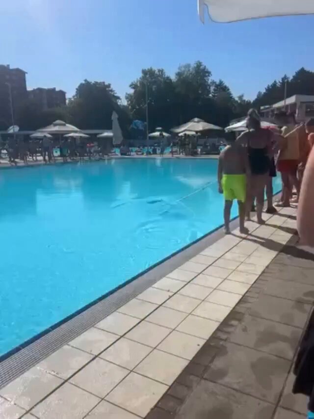 Ponovo incident na bazenima "Olimp" Prema rečima očevidaca jedan od lojalista iz ćacilenda izvršio je veliku nuždu u bazenu i potom pobegao. Inače lojalisti dobijaju besplatne ulaznice kako bi se jednom mesečno okupali jer za tuš nikad nisu čuli...