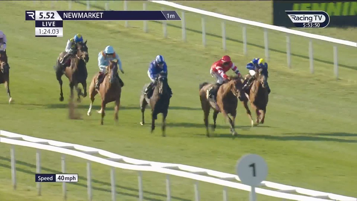 The market KNEW 🤔 It's 308 days since Regal Charm made her debut so it's clearly not been plain sailing with the daughter of King Of Change, but she was very well backed to make it second-time lucky. 🟥⬜️