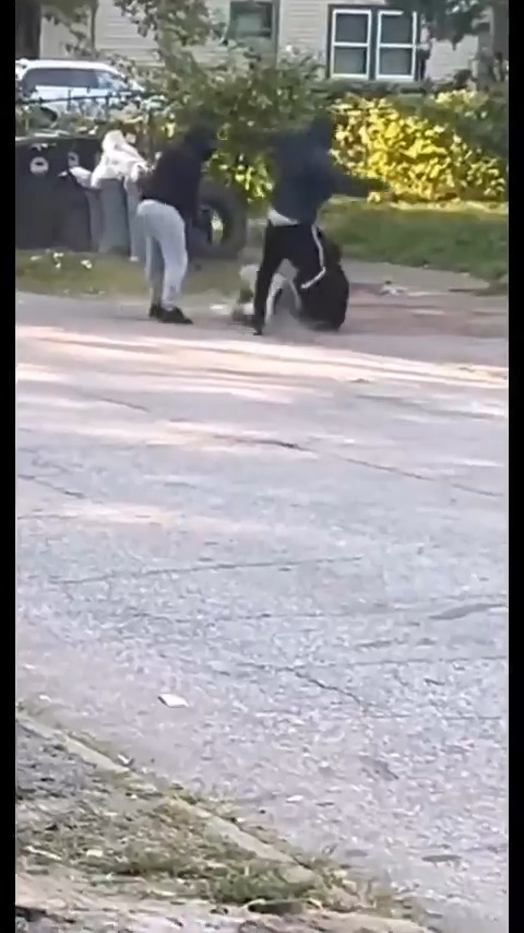 Just an average weekday in Chicago - man shot multiple times in broad daylight during a robbery. The video also serves as a good example of real world handgun ballistics efficacy (or lack thereof). Plan accordingly.... #CityLife #chicago #crime #Chiraq #urban #decay #3rdWorld #FailedState #democrats