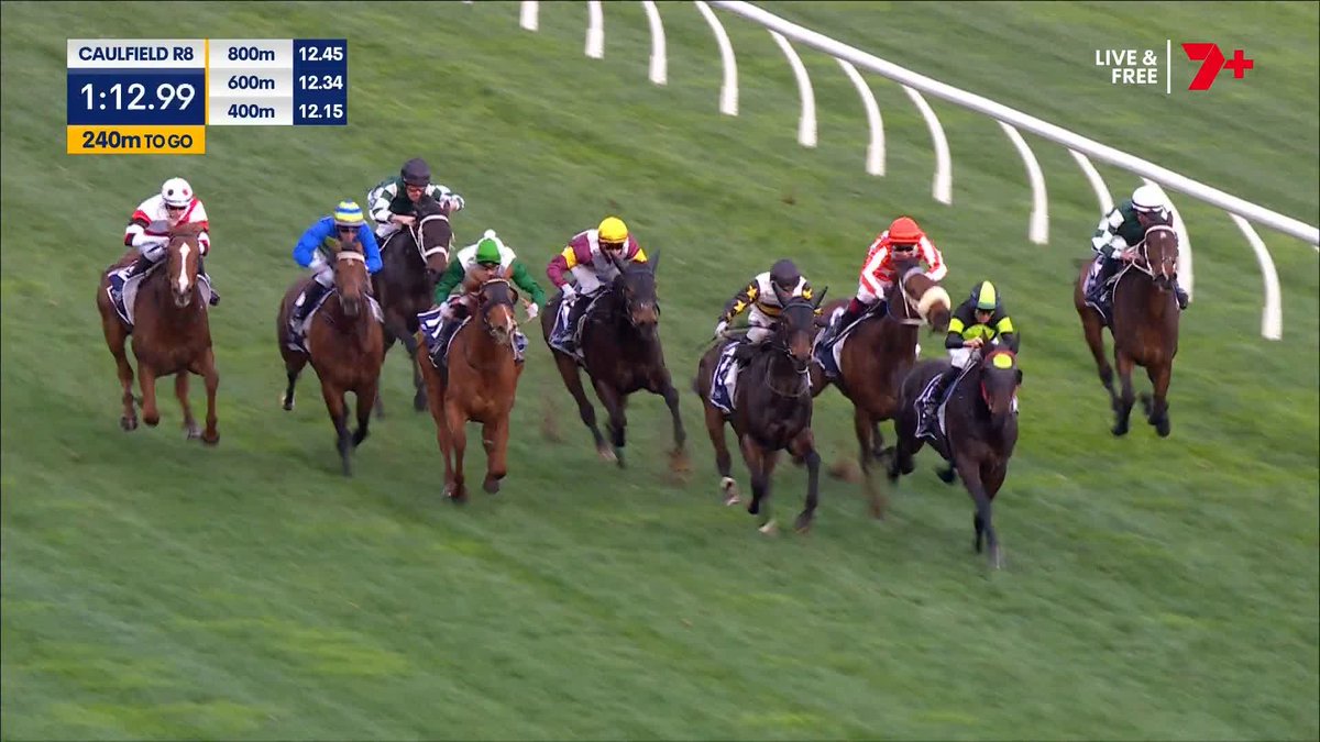 PRIVATE EYE 🖤💚 He's a class act! Private Eye shrugs off a pre-race vet check and leads all the way in the Group 2 P.B. Lawrence 💪 Nash Rawiller Pride Racing PR🟢VEN Thoroughbreds