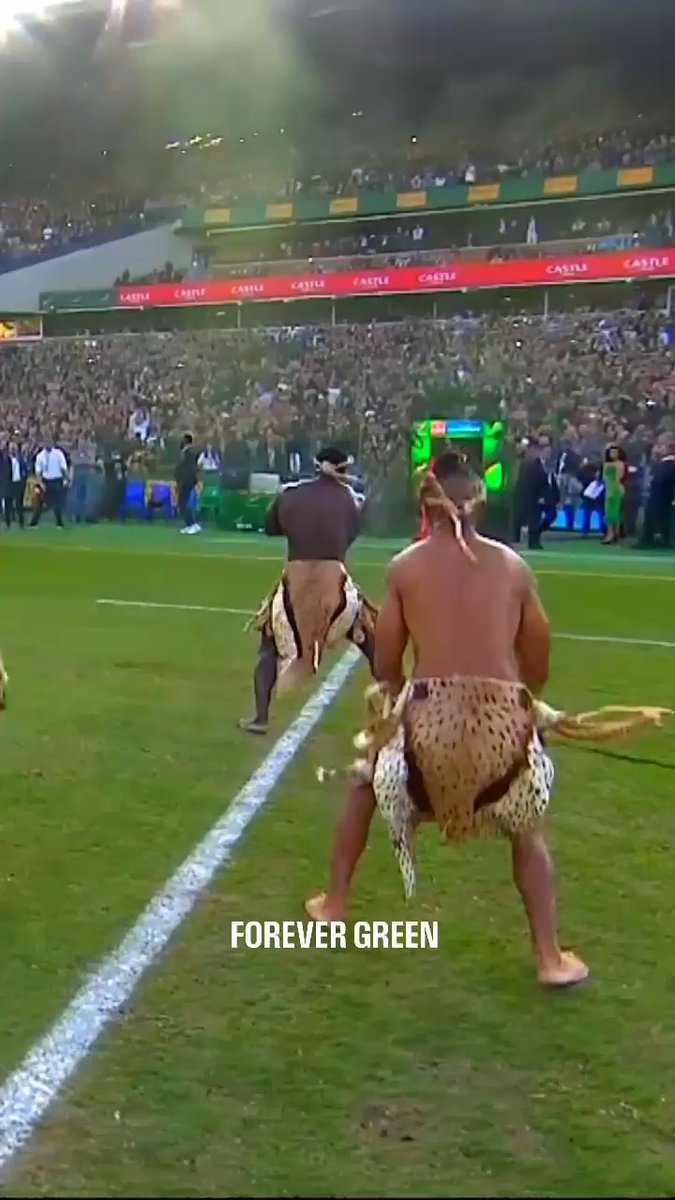 Ready to rise. Ready to roar. Let the Castle Lager Rugby Championship begin! #Springboks #ForeverGreenForeverGold
