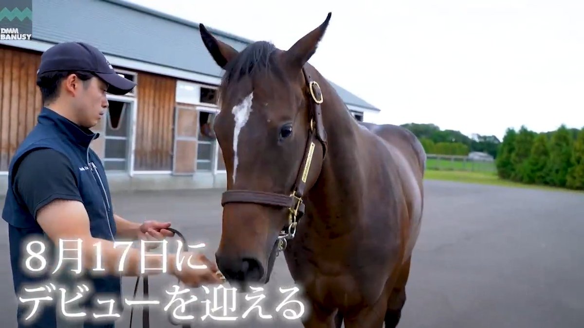 スウィッチインラヴ が 8月17日(日) 中京競馬場 第3レース 2歳新馬 (芝1600m、10:40発走)でデビューします! デビュー戦の前にスペシャル動画をぜひご覧ください! #BanusySpecialMovie #バヌーシー