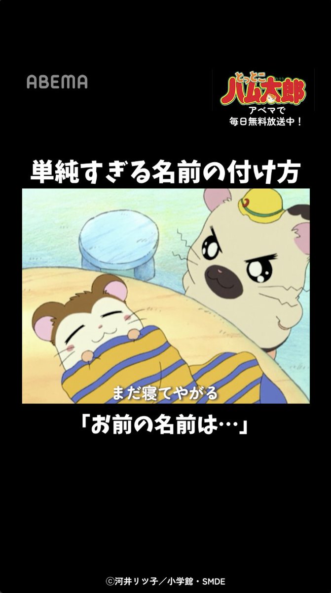 「決めた！お前の名前は…」 「とっとこハム太郎」はアベマで毎日無料配信中！ 視聴はこちら▶︎ とっとこハム太郎 「とっとこハム太郎」公式サイト運営
