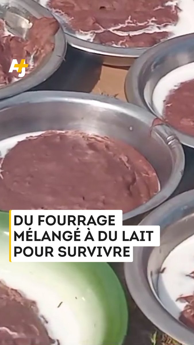 Faute de nourriture, ces Soudanais mangent du fourrage, alors qu’ils sont confrontés à “la pire épidémie de choléra que le pays ait connue depuis des années”.