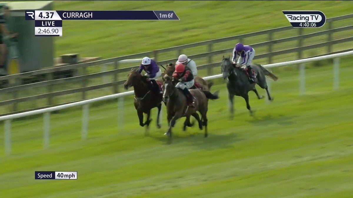 What a day for Dylan Browne Mc Mon 🥇🥇🥇🥇 Leinster scoots clear to land the Comer Group International Irish St. Leger Trial Stakes, completing a brilliant four-timer for the rider. Joseph O'Brien | The Curragh Racecourse