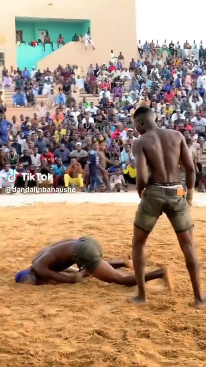 One African man can easily defeat 20 Europeans. Am I lying?