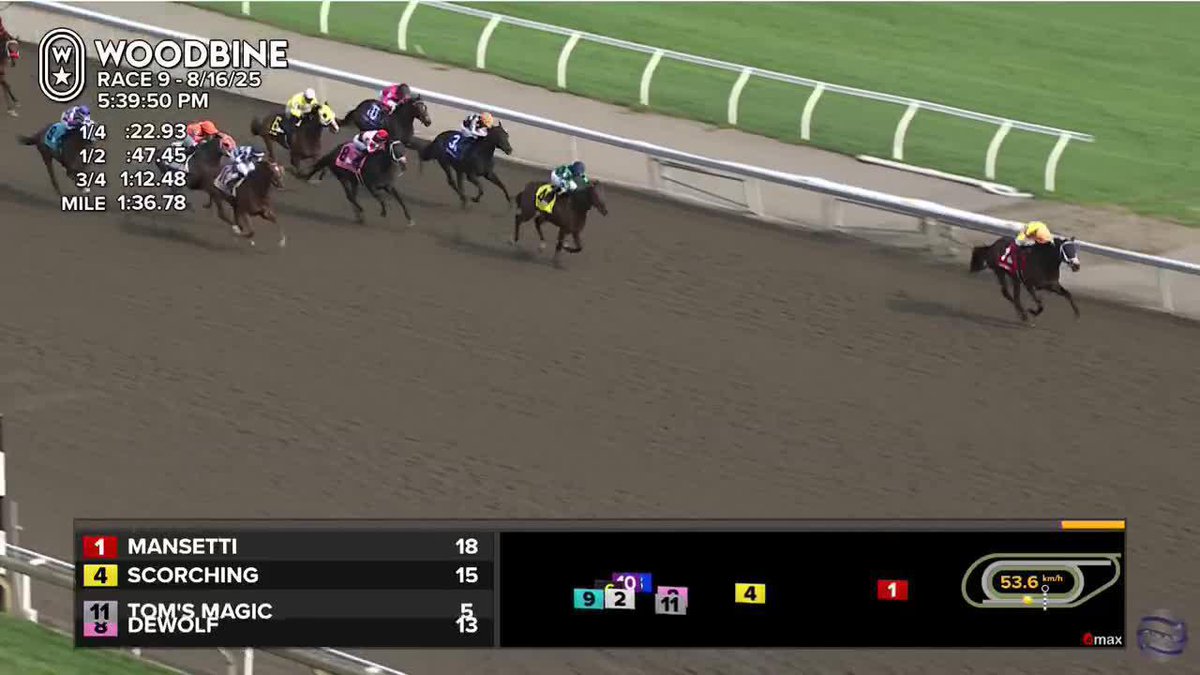 Mansetti ($38.70) goes gate-to-wire and upsets at 18/1 in the 166th King's Plate at Woodbine Racetrack! 🏆#KP25👑 Pietro Moran was aboard for trainer Kevin Attard Racing and owners Al & Bill Ulwelling 🐎🐎🇺🇸!