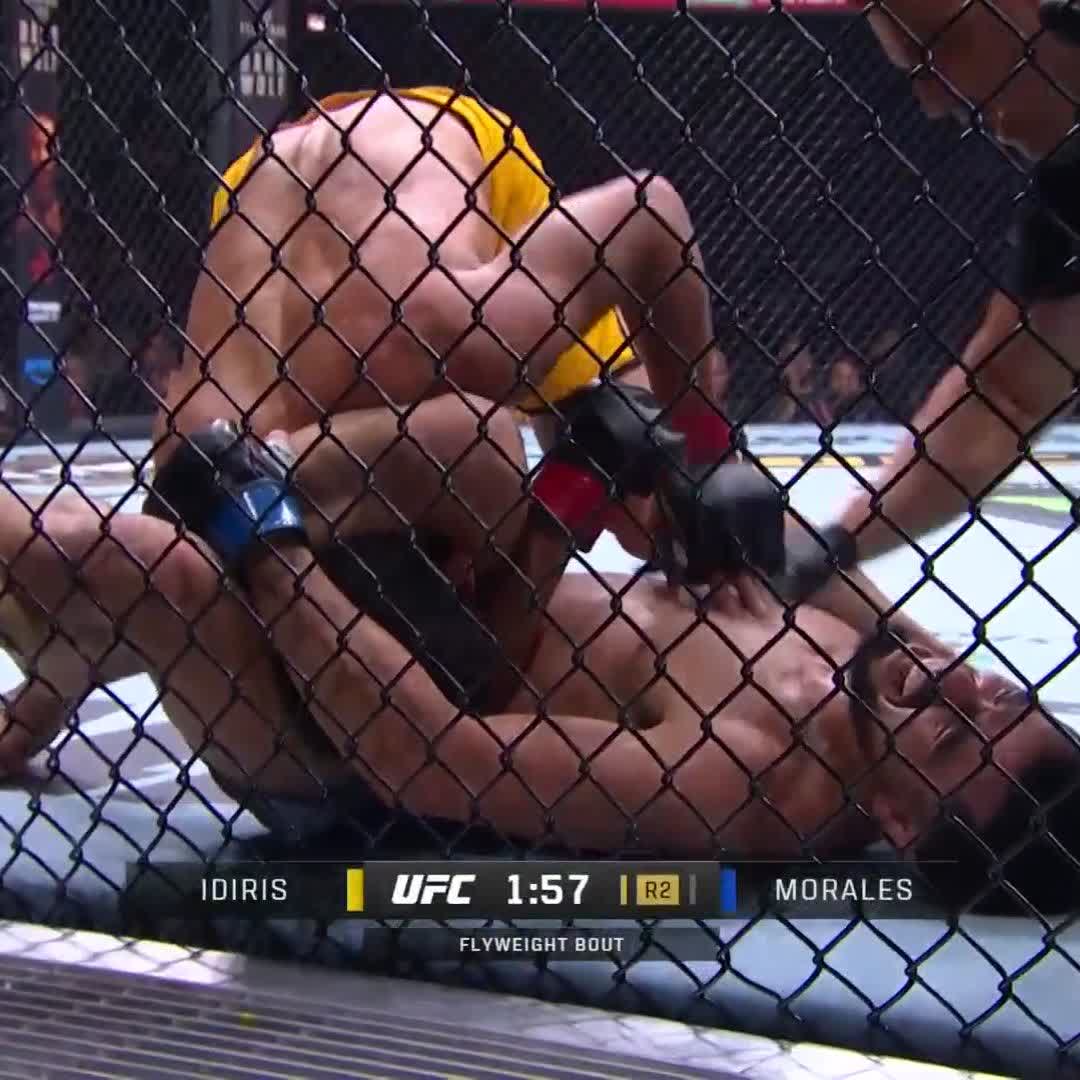 CONTRACT EARNED ✅ Joseph Morales gets the submission in round two to become The Ultimate Fighter flyweight champion! #TUF33