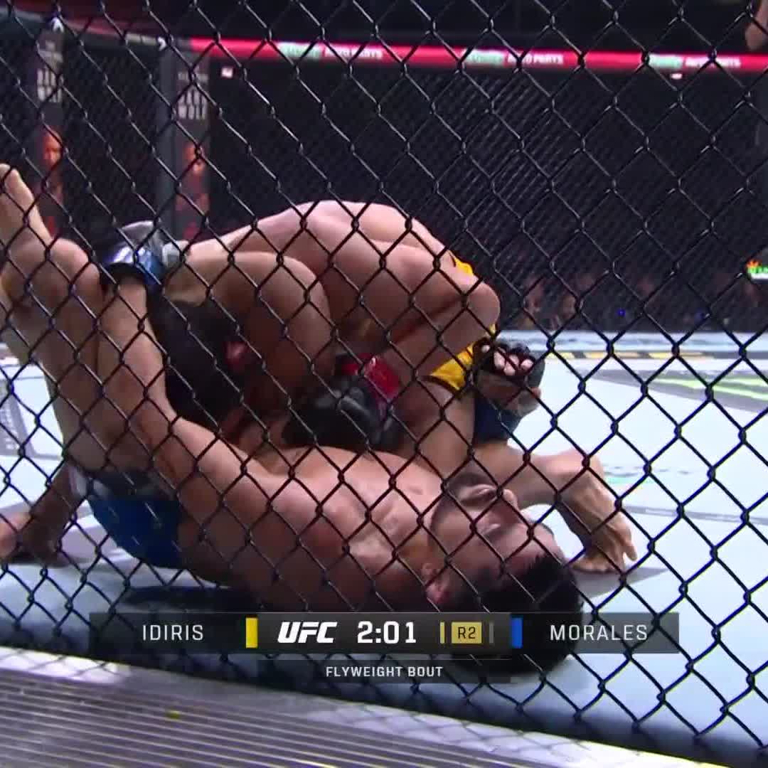 Joseph Morales remporte le #TUF33 chez les poids mouches en soumettant Alibi Idiris au deuxième round. 👏 #UFC319